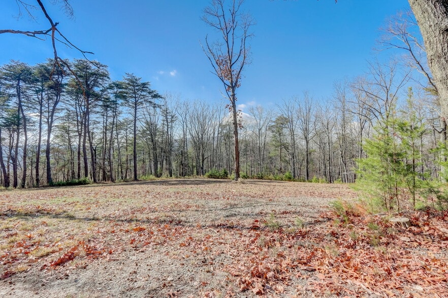 More Photos Of 1915 Tower Trl, Waleska Land For Sale