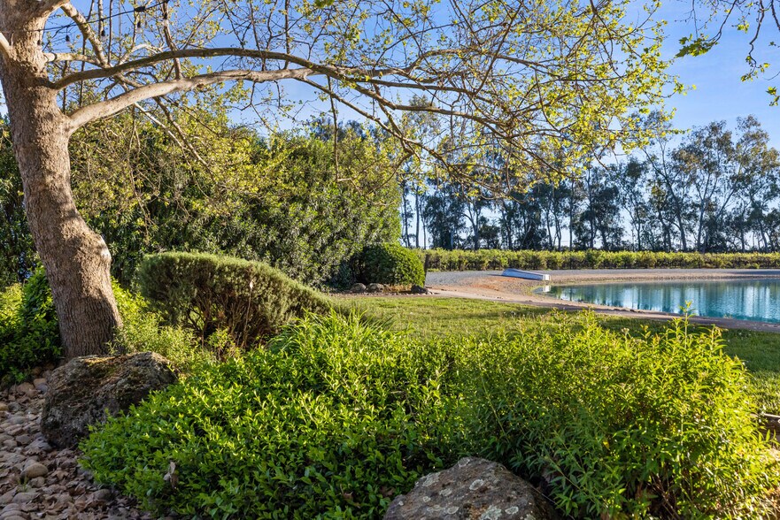 More Photos Of 10675 Valensin Rd, Galt Winery Vineyard For Sale