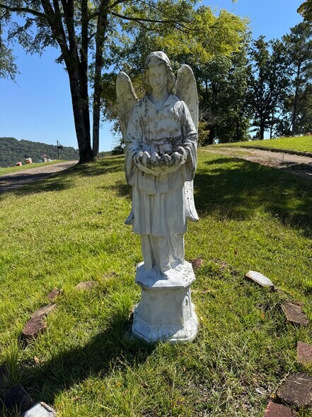 More Photos Of 4386 Buzbee Rd, Pinson Land For Sale