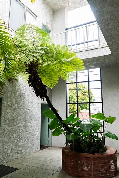 More Photos Of 1539 Sawtelle Blvd, Los Angeles Office For Lease