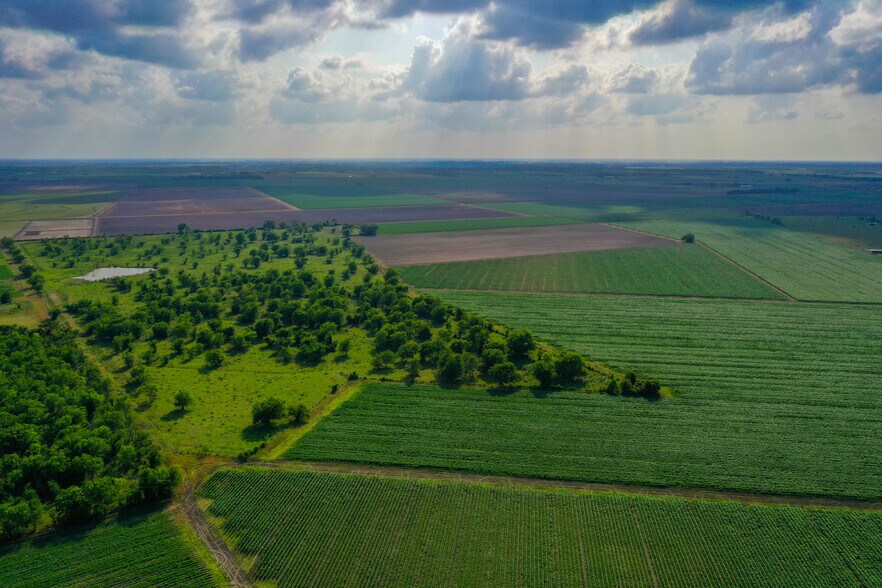 More Photos Of 000 Koym Road, Beasley Land For Sale