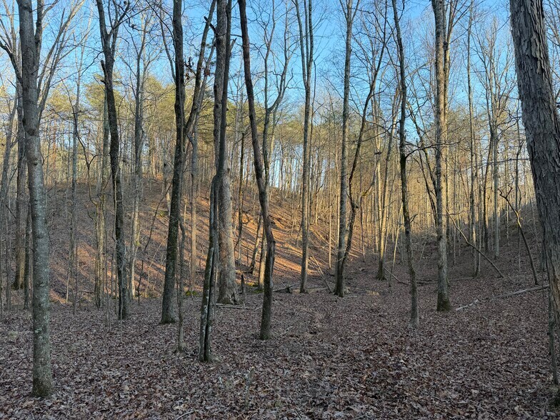 More Photos Of 260 Arnold Rd NE, Fairmount Land For Sale