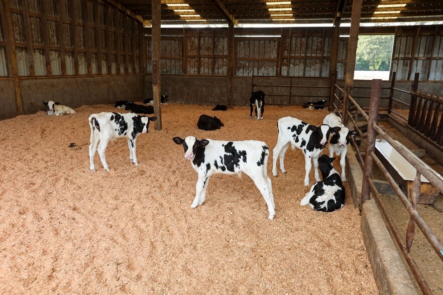 More Photos Of 8845 Rickreall Rd, Rickreall Land For Sale