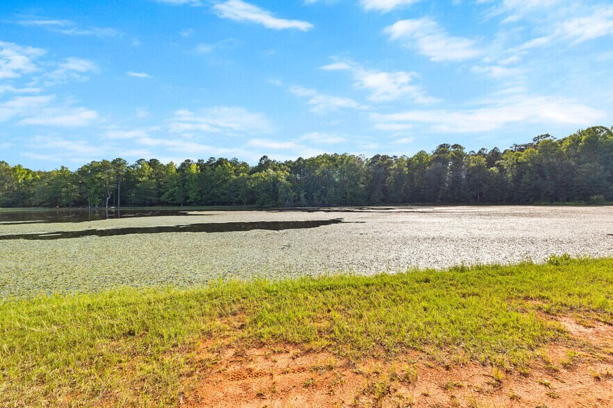 More Photos Of 4091 Hollonville Rd, Williamson Land For Sale