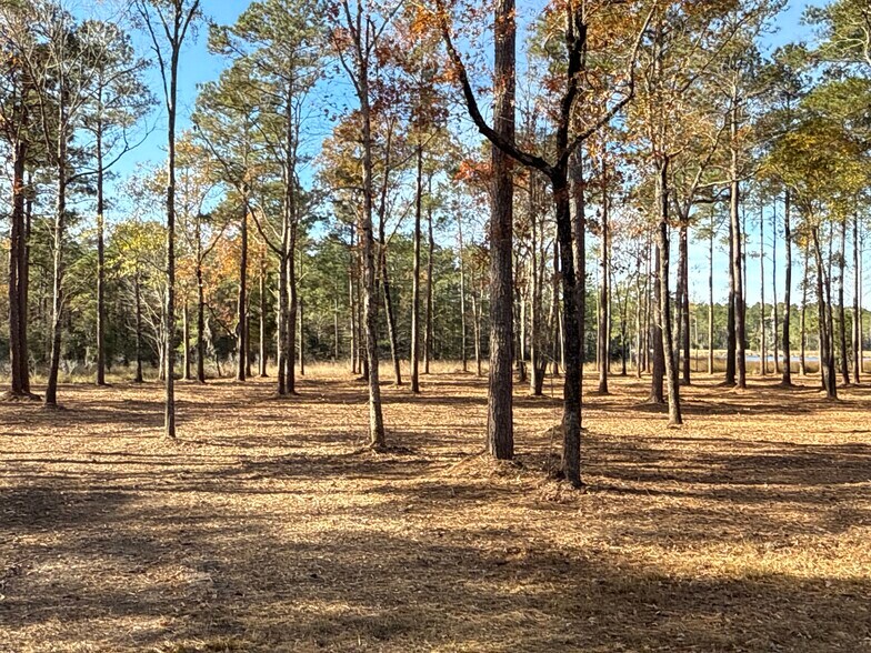 More Photos Of 0 Norfleet Shores Road, Belhaven Land For Sale