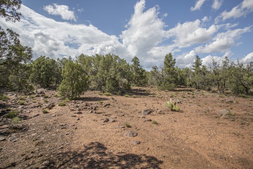 More Photos Of 1200 Airport, Payson Land For Sale