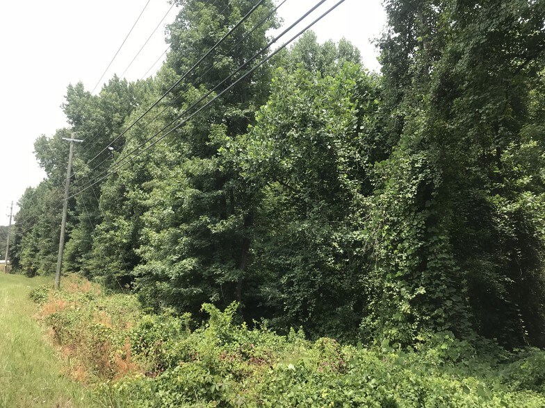 More Photos Of 138 E Highway At Lanier Xing, Stockbridge Land For Sale