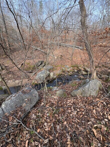 More Photos Of 199 Morgan St, Cowpens Land For Sale