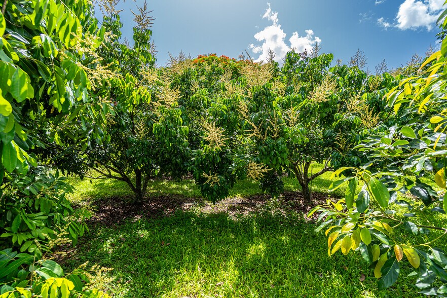 More Photos Of 19450 SW 214th St, Miami Land For Sale