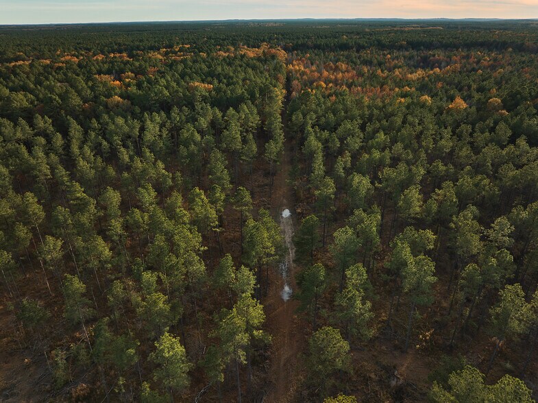 More Photos Of 480 Martin Rd, Cotton Valley Land For Sale