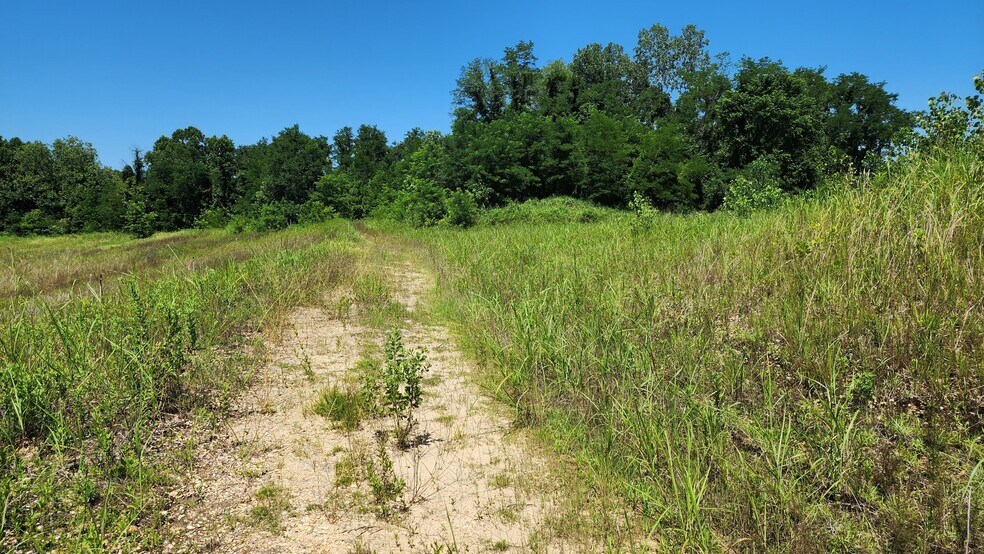 More Photos Of 000 Hwy 61 North, Vicksburg Land For Sale