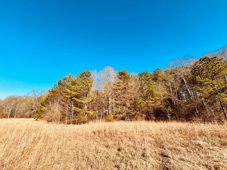 More Photos Of Hwy 12, Durant Land For Sale