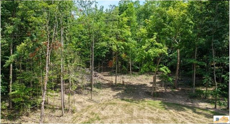More Photos Of 0 Wilderness Road, Mammoth Cave Land For Sale