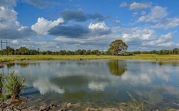 More Photos Of 6125 Crane Ln, North Zulch Land For Sale