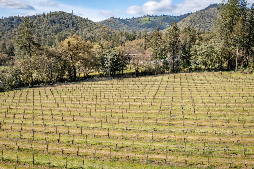 More Photos Of 818 Slagle Creek Rd, Grants Pass Winery Vineyard For Sale