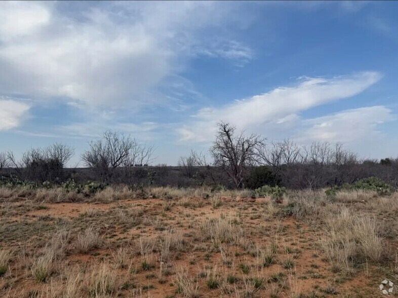 More Photos Of 01 Farm to Market Road 2319, Loraine Land For Sale