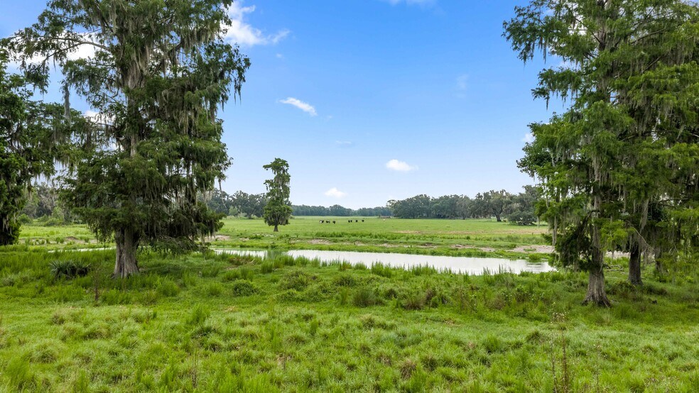 More Photos Of CR 774, Webster Land For Sale