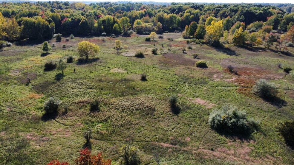 More Photos Of 41193 N Park St, Paw Paw Land For Sale