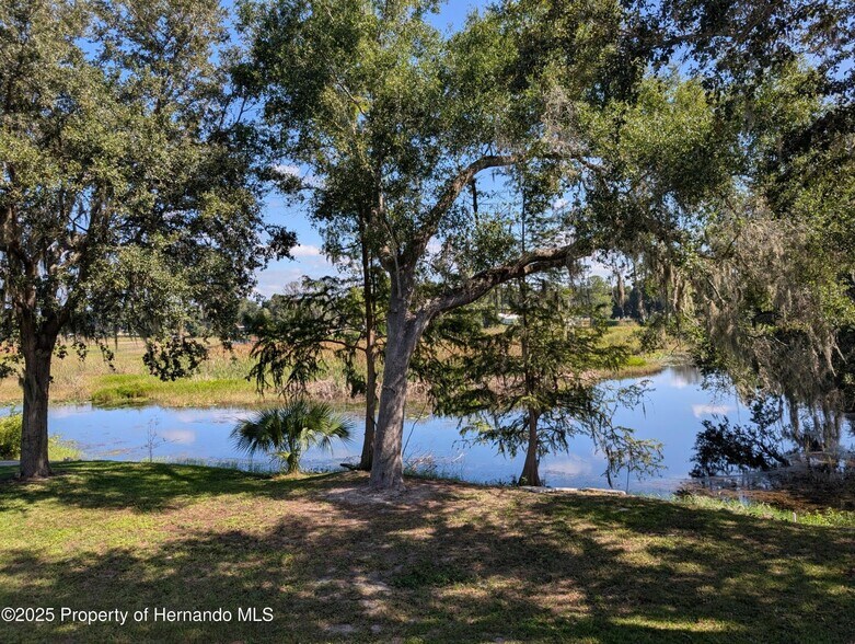 More Photos Of 1259 S Elmwood Dr, Inverness Apartments For Sale