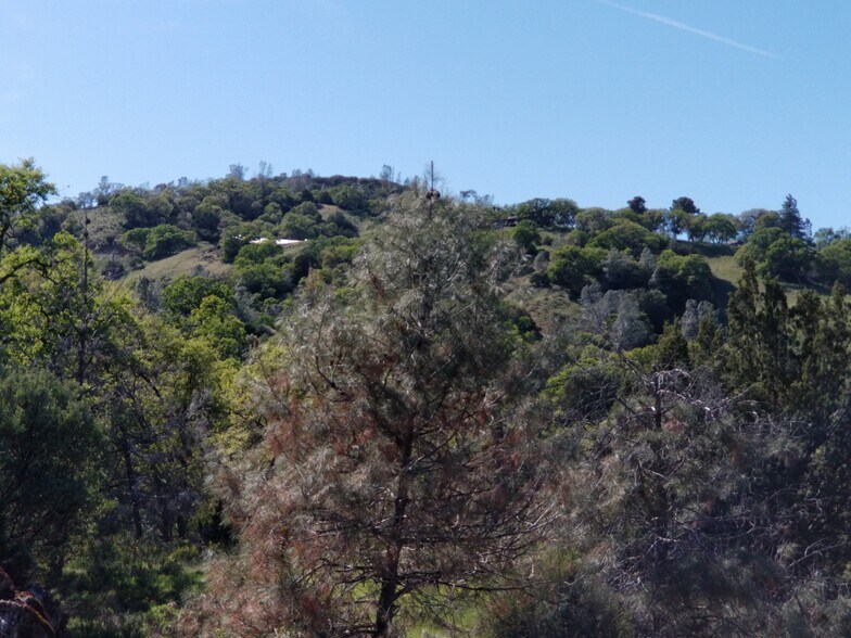 More Photos Of 19019 Mines Rd, Livermore Specialty For Sale