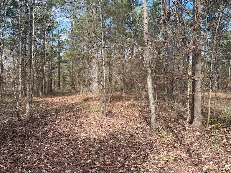 More Photos Of 1593 Old Alabama rd, Taylorsville Land For Sale