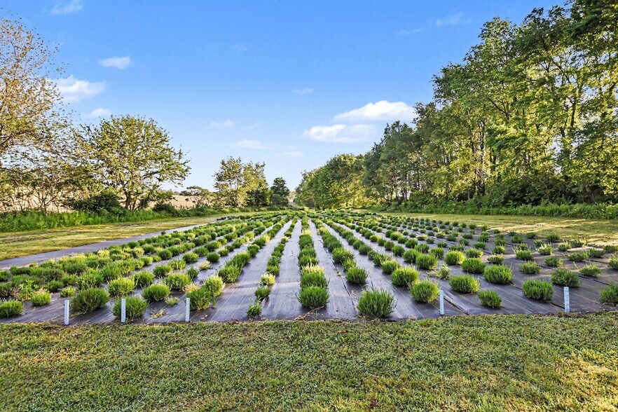 More Photos Of 2175 E Hinchman Rd, Berrien Springs Land For Sale