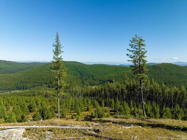 More Photos Of Nhn Logan Creek Road, Kila Land For Sale