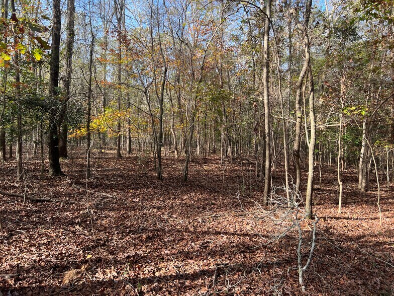 More Photos Of 0 Dickson Dr, Danielsville Land For Sale