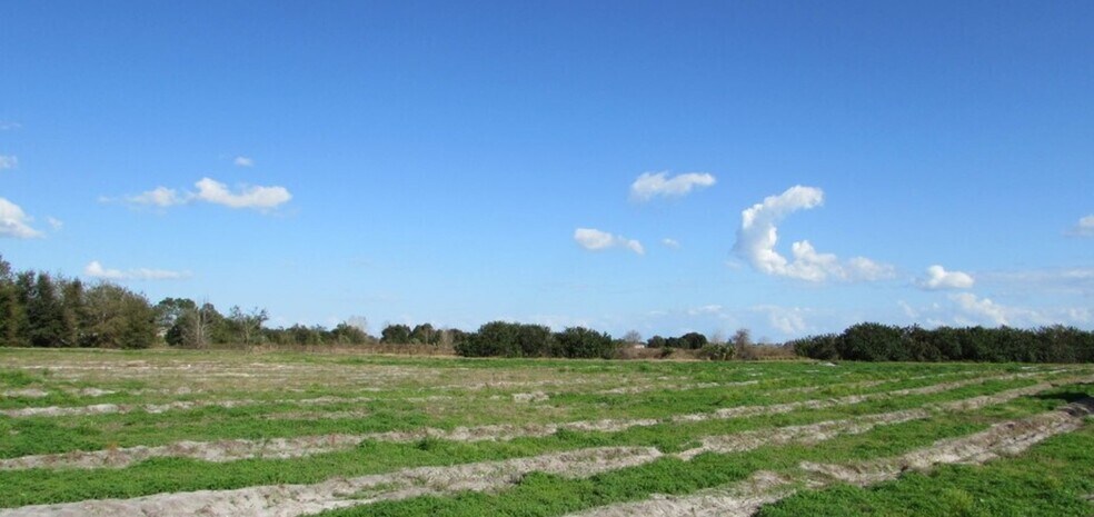 More Photos Of 0 Chalet Suzzane Rd, Lake Wales Land For Sale