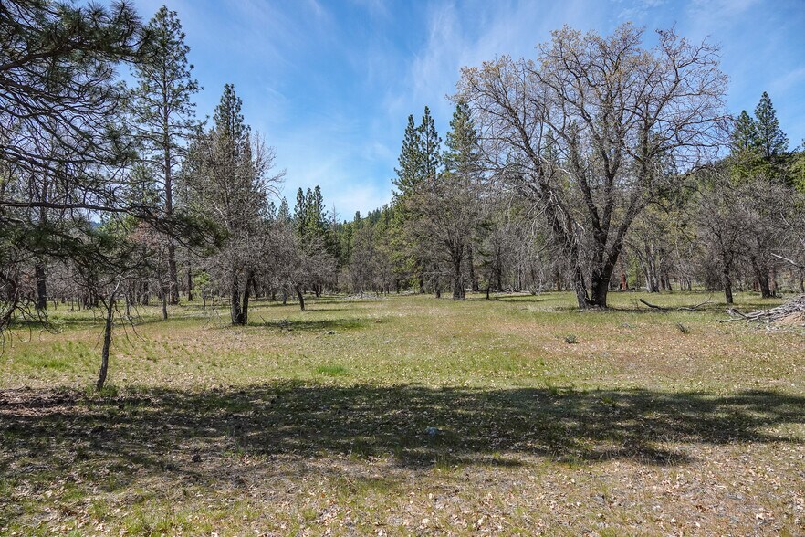 More Photos Of 2003 Kidder Creek Rd, Greenview Land For Sale