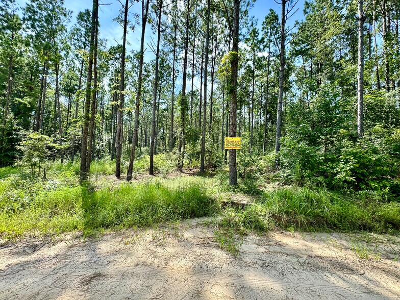 More Photos Of 0 Slim Palmer Road, Zavalla Land For Sale