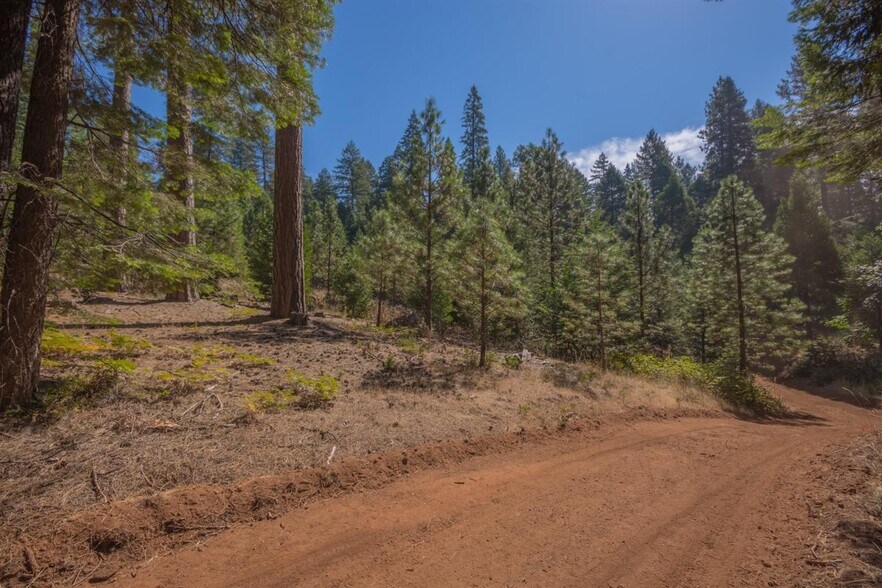 More Photos Of 1229 Blair Rd, Pollock Pines Land For Sale