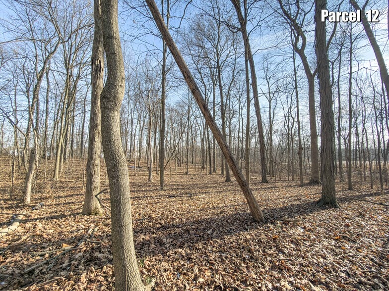 More Photos Of 11007 Watkins Road, Marysville Land For Sale