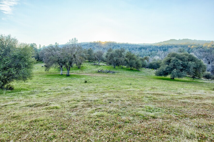More Photos Of 50871 Road 200, O Neals Land For Sale
