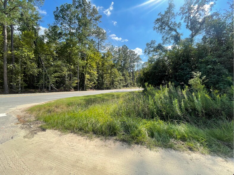 Primary Photo Of 7425 Highway 119 S, Ellabell Land For Sale
