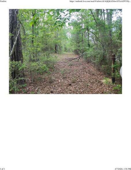 More Photos Of HWY 603, Kiln Land For Sale