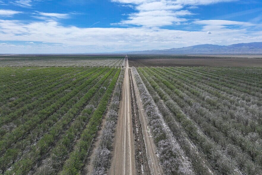 More Photos Of Cerini Avenue, Cantua Creek Land For Sale