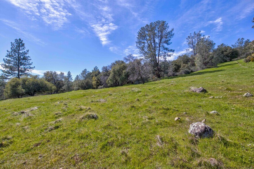 More Photos Of 18800 Charleston Rd, Volcano Land For Sale