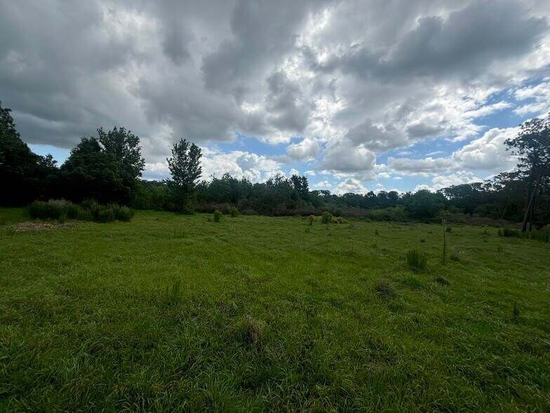 More Photos Of 28651 Tupper Rd, Wesley Chapel Land For Sale