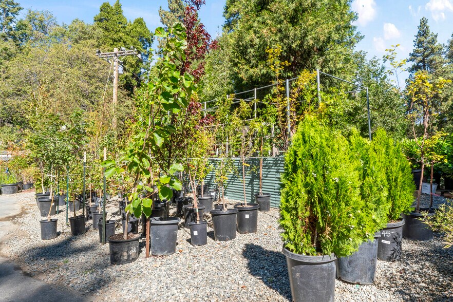 More Photos Of 303 CA-173 Hwy, Lake Arrowhead Garden Center For Sale