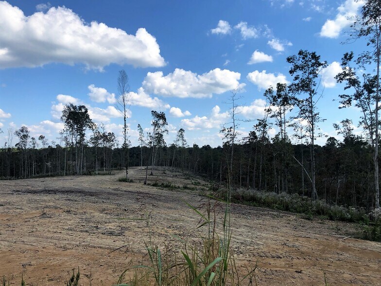 More Photos Of 1037 Fairview Blvd, Fairview Land For Sale