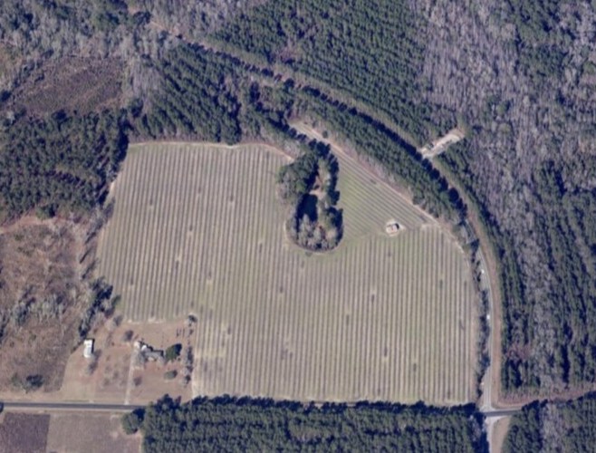 More Photos Of 20945 Georgia 46 Hwy, Pembroke Land For Sale
