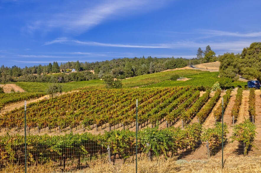 More Photos Of 5200 Di Arie Road Rd, Mount Aukum Land For Sale