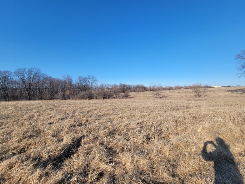 More Photos Of 171 Windy Hill Rd. (20+/- Acres), Elsberry Land For Sale