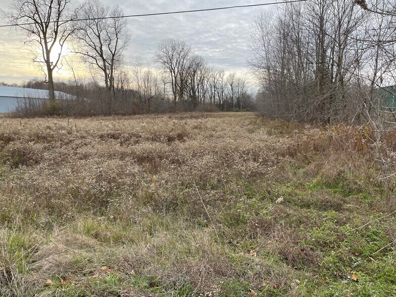 More Photos Of 0 Van Dyke Rd, Almont Township Land For Sale