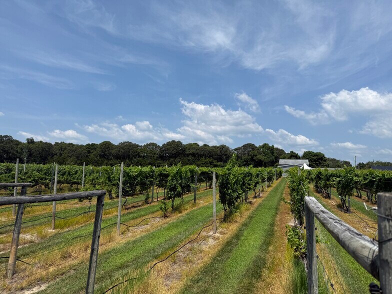 More Photos Of 221 N Delsea Dr, Cape May Court House Winery Vineyard For Sale