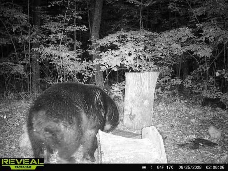 More Photos Of Fisher Road, Iola Land For Sale