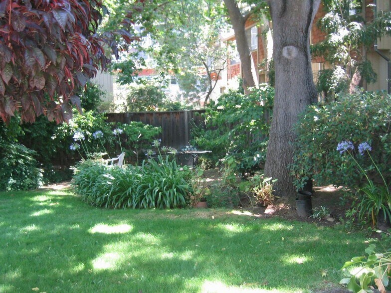 More Photos Of 837 Cowper St, Palo Alto Apartments For Sale