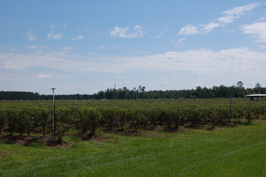 More Photos Of 18811 SE 243rd St, Hawthorne Specialty For Sale