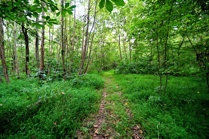 More Photos Of Cues Favorite @ La Plata Rd Route 488, Waldorf Land For Sale